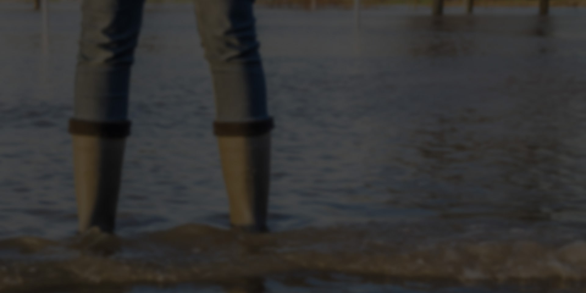 standing-flood-water-main-min