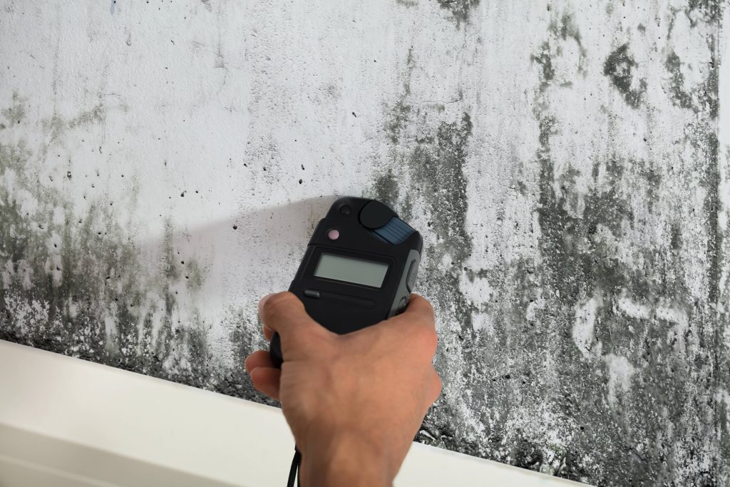 A hand holds a digital light meter against a damp, mold-covered wall.