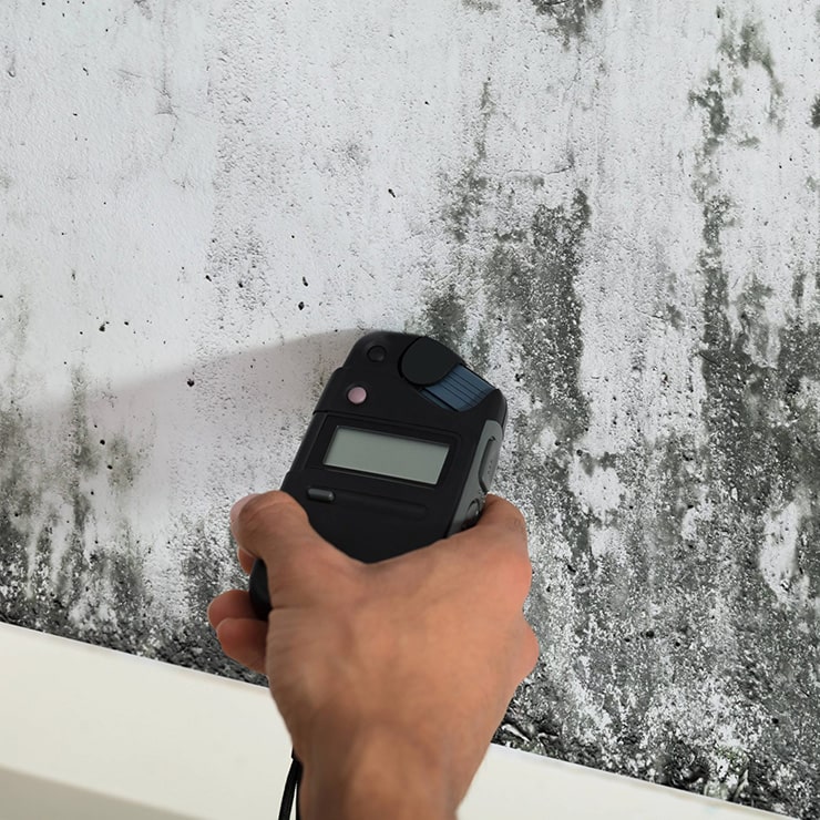 A hand holds a digital light meter against a damp, mold-covered wall.